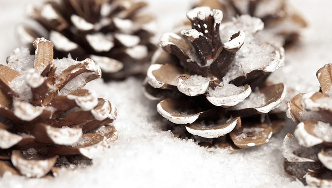 Hartje Winter arrangement Van der Valk Gent