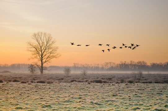 Parc naturel de Bourgoyen-Ossemeers