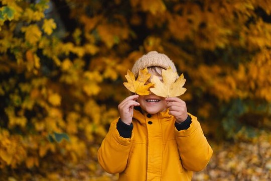 Delicious Autumn Package
