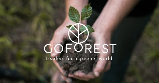 GoForest